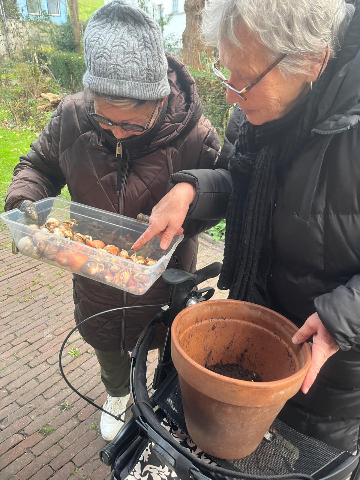 Twee vrijwilligers bekijken samen een bak met bloembollen