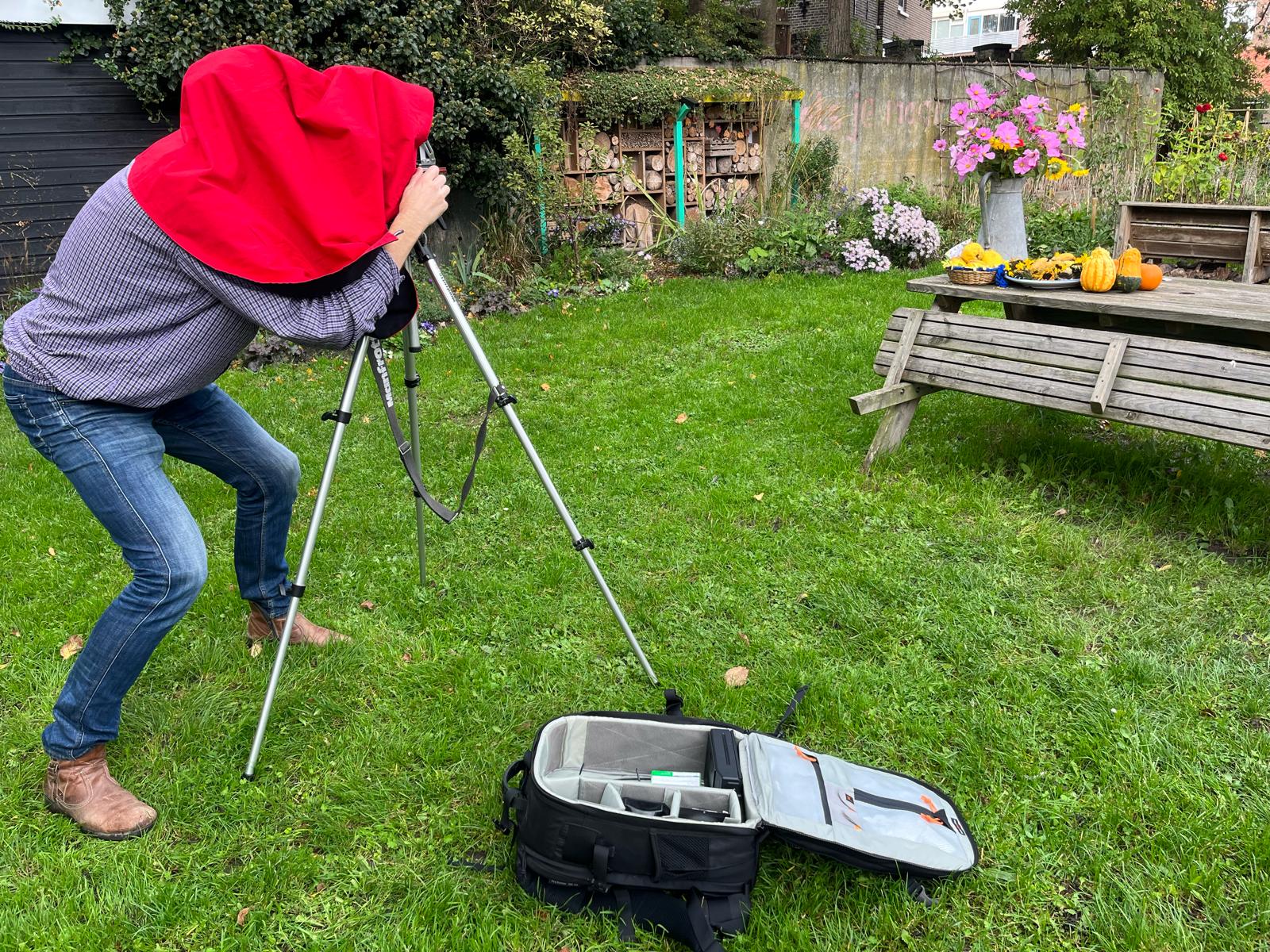 Natuurfotograaf onder rode doek achter statief in de tuin
