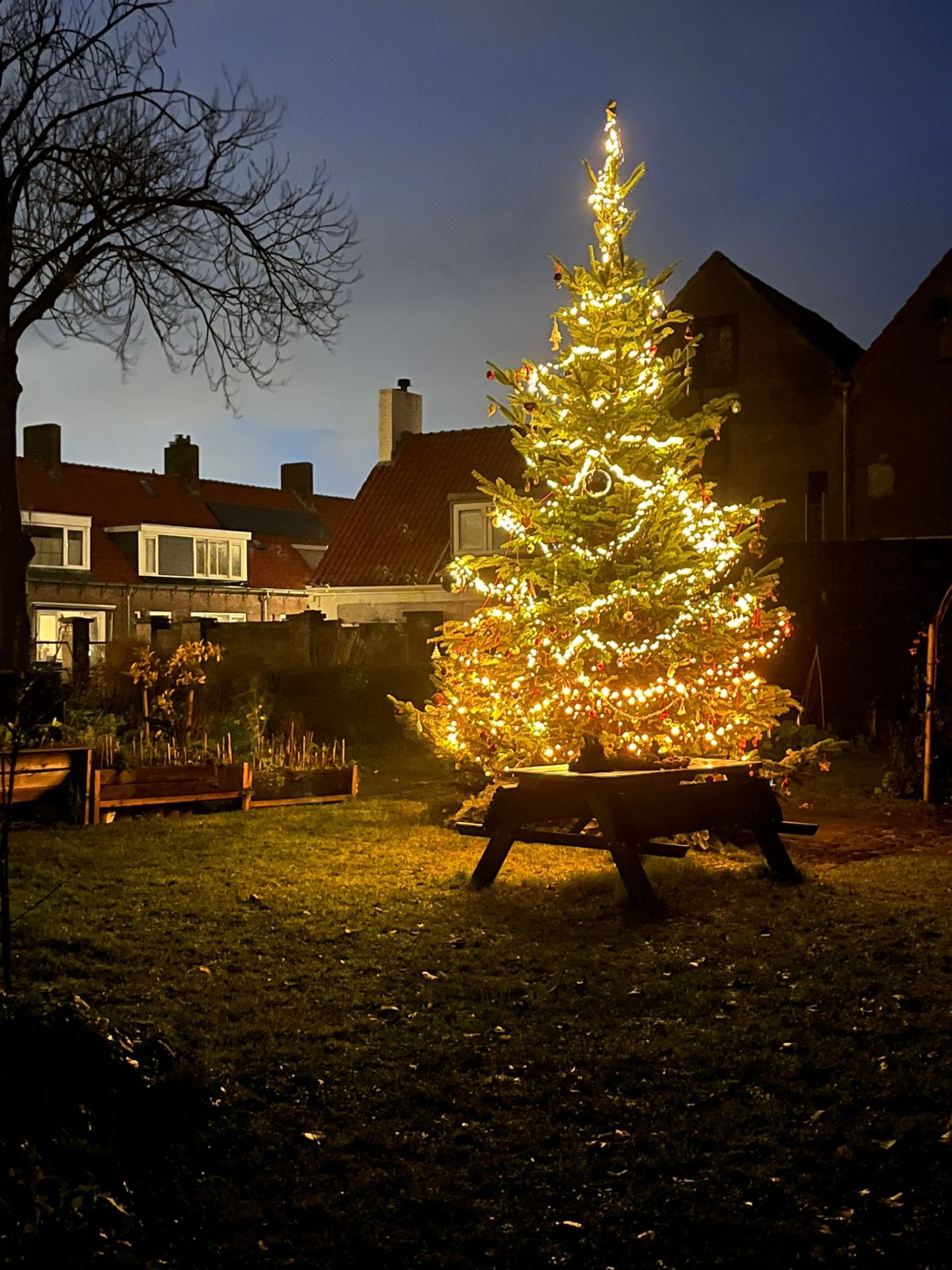 Verlichte kerstboom bij de picknicktafel in de tuin bij schemering