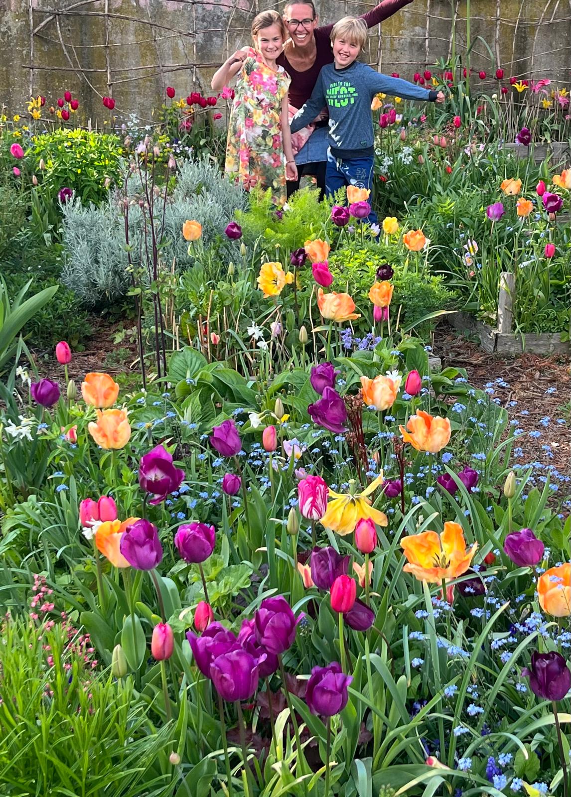 Kleurrijke tulpen